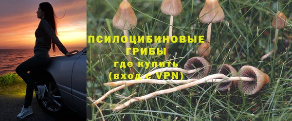 не бодяженный Бронницы