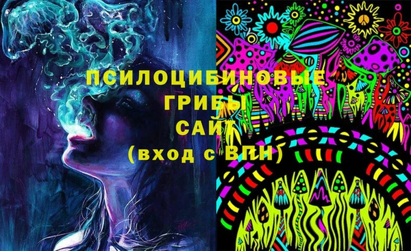 ECSTASY Богородск