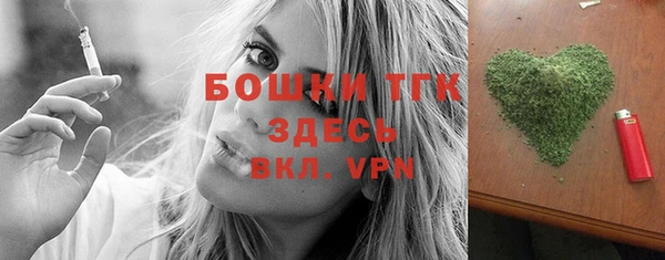 ECSTASY Богородск
