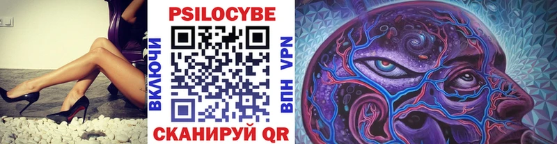 Псилоцибиновые грибы Cubensis Нововоронеж