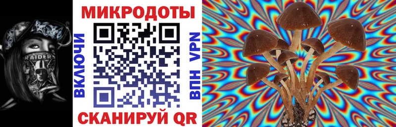 Купить  Нововоронеж  Галлюциногенные грибы мицелий 